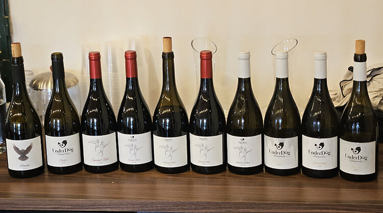 צימוקים מתארח בחגיגות שנה ליקב אנדרדוג // צילום: עדיאל מזרחי