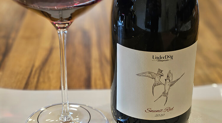 צימוקים מתארח בחגיגות שנה ליקב אנדרדוג // צילום: עדיאל מזרחי