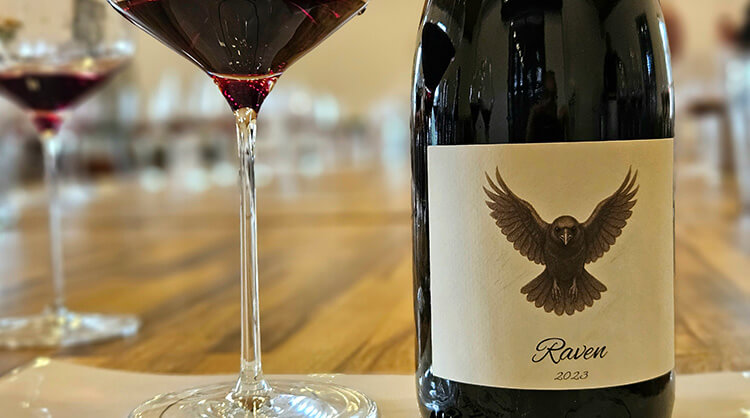 צימוקים מתארח בחגיגות שנה ליקב אנדרדוג // צילום: עדיאל מזרחי