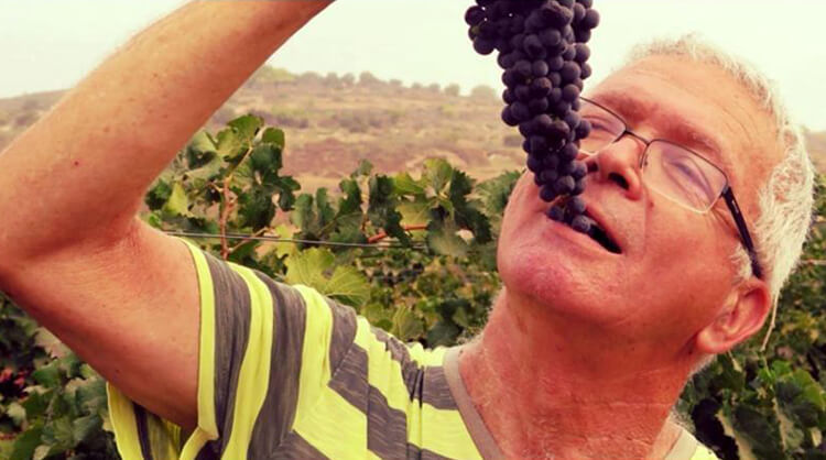 יצחק כהן, האיש שחיבר בין המצודה ההיסטורית ליינות האיכות של המחר