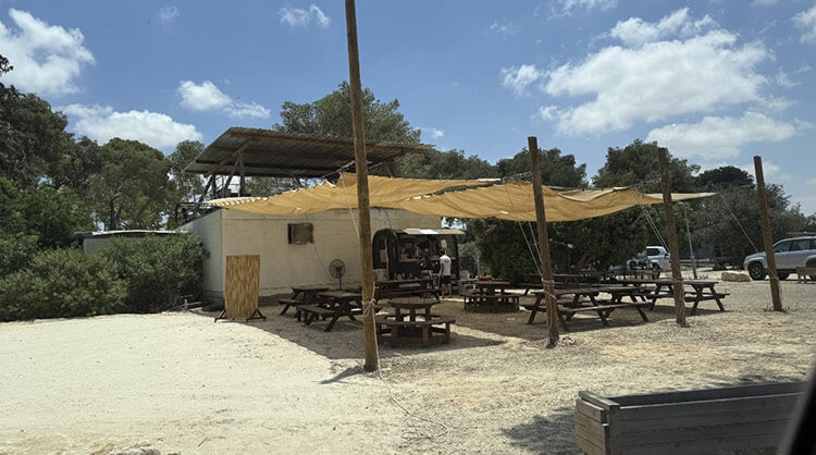מסע בעקבות הטרואר המדברי