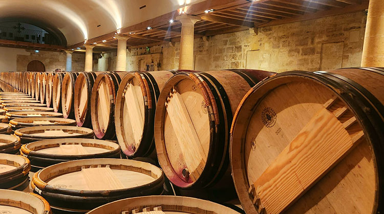 איש הענבים מארח: kings of wines