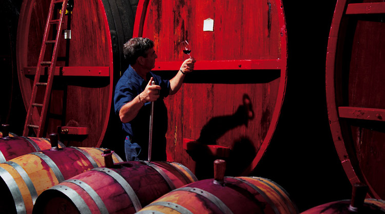 איש הענבים מארח: Sam Stephens Penfolds winery