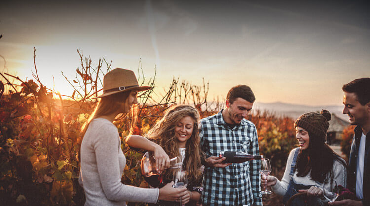 בית פתוח: דרכי היין