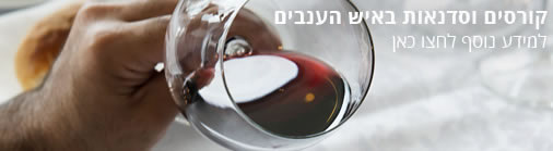 אקדמיה - מרכז הדרכה 50 ימין