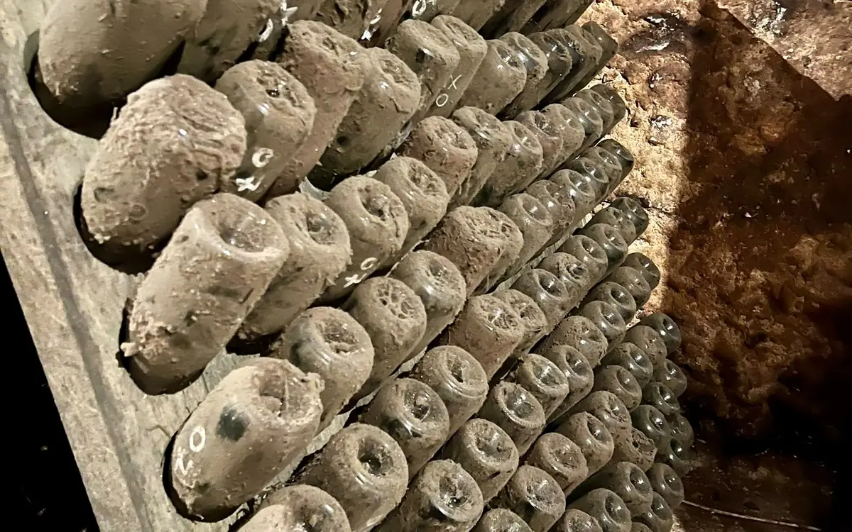 פקקי שעם מסודרים במרתף יקב